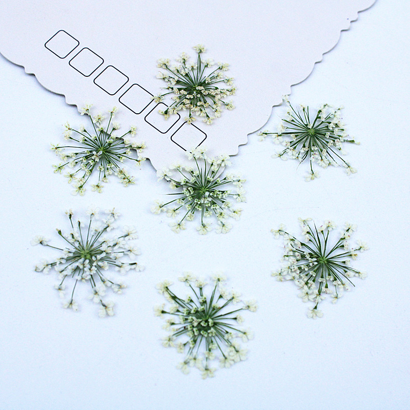 Resin Art Baby - 500 pièces de fleurs en dentelle,
