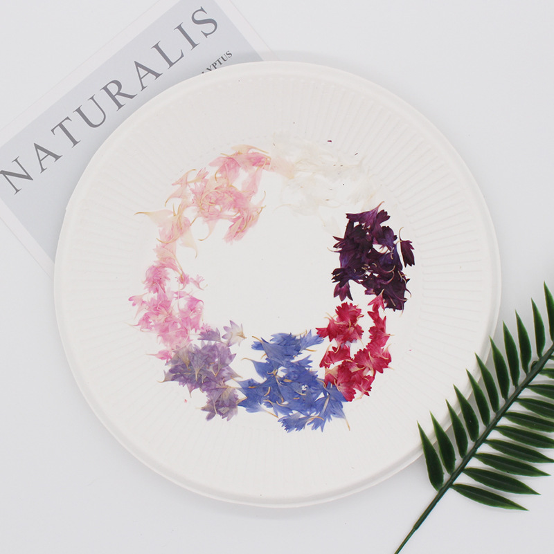 20 spécimens de plantes, pétal - Resin Art Baby avis et prix