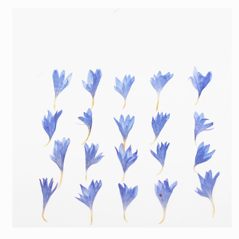 60 pièces de petites fleurs sé - Resin Art Baby avis et prix