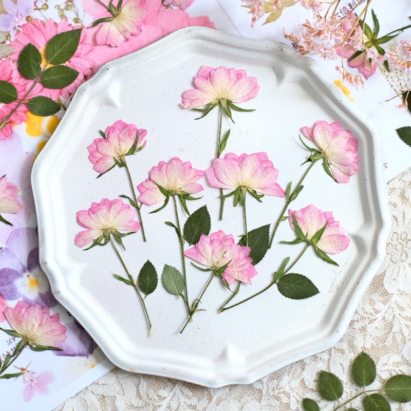 12 pièces, fleurs séchées pres - Resin Art Baby avis et prix
