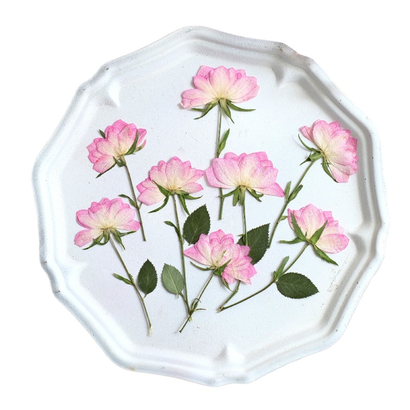 12 pièces, fleurs séchées pres - Resin Art Baby avis et prix