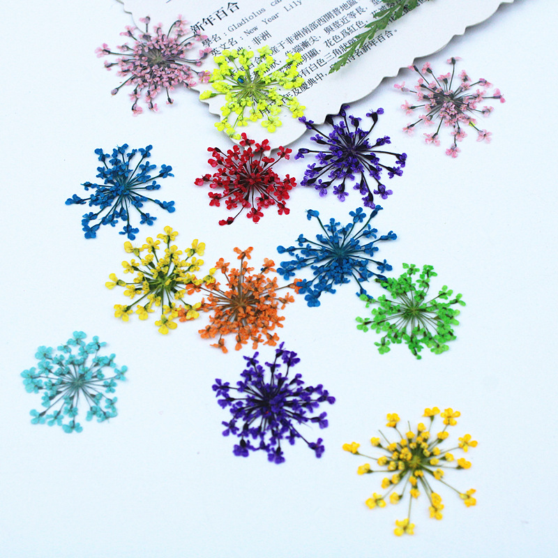 500 pièces de fleurs en dentel - Resin Art Baby avis et prix